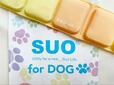 【SUO 犬用クールバンド 】愛犬の暑さ対策にぜひ試してみて！