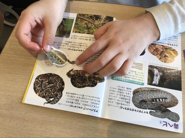 【マクドナルドのハッピーセット　おもちゃ】シール貼りは未就学児も楽しめる！