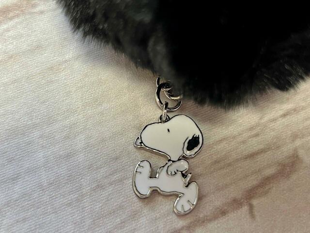 【ファッションセンターしまむら】スヌーピーのデザインもそれぞれの色によって異なります！