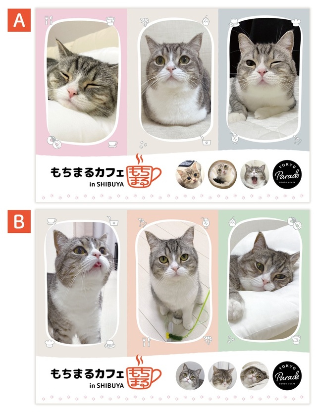 【来場者特典】　A3ランチョンマット（2種）　