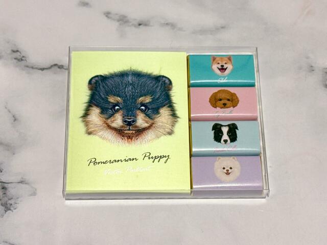 【カルディ ドッグ メモパット チョコレート（税込448円）】リアルなわんこのイラストが表紙のメモパット付き！