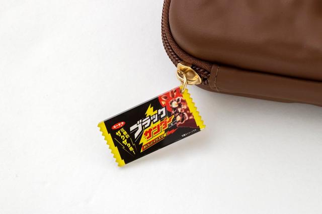 ブラックサンダー ハードケース＆ポーチセットBOOK