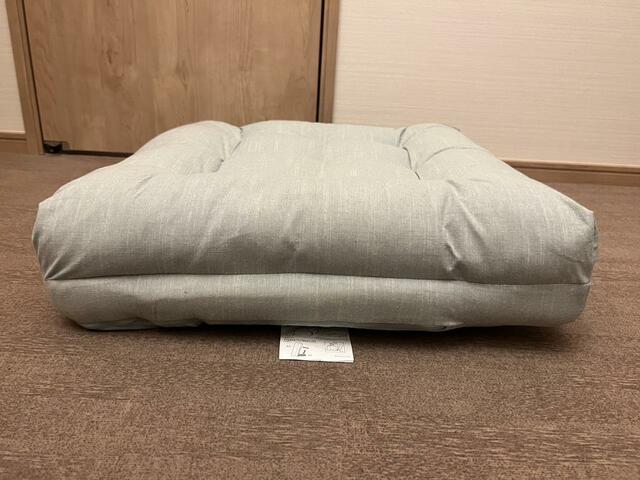 【カインズ　座布団にもなる背もたれイス】リクライニング1段階