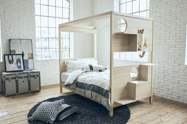 【フランスペット】「キャットタワー付きベッド」