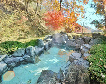 森林の温泉（もりのいでゆ）【茨城県】