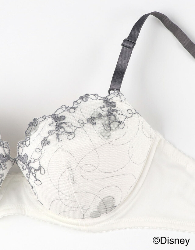 ［ナチュラルアップブラ］ディズニーデザイン 4,290円～