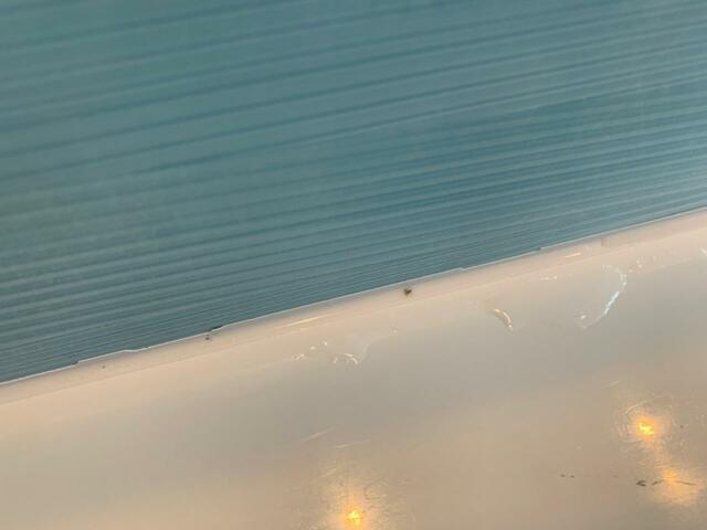 バイオくんはカビを除去してから設置しましょう