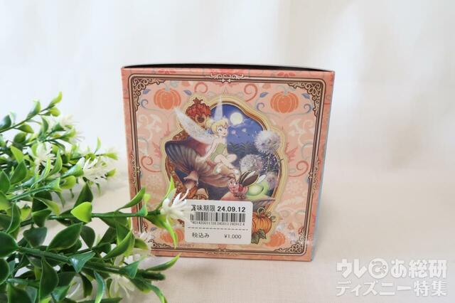 ファンタジースプリングス　お菓子　チョコレート