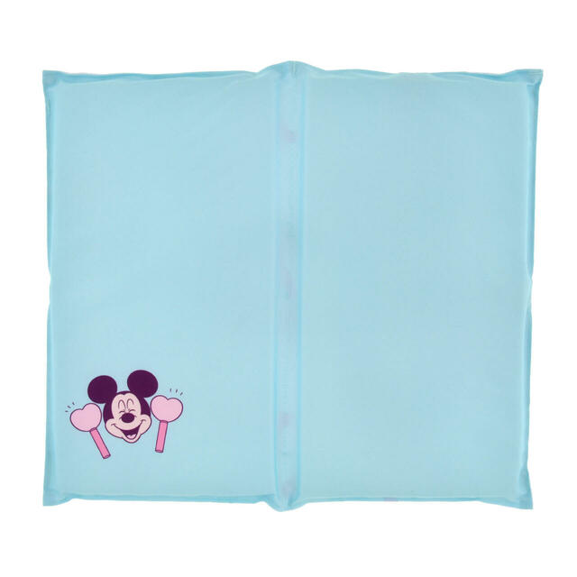 ミニー&ミッキー シートクッション MINNIE DAY 2026 2,500円