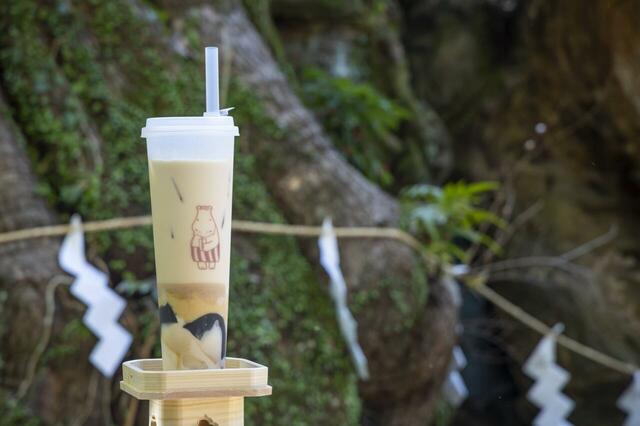 熱海プリン来宮駅店限定20㎝もあるカップは持ち帰れます