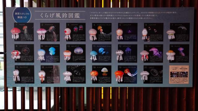 20種類、130個の“クラゲ風鈴”が織りなす涼やかな音色「くらげと風鈴」7月3日(土)開始