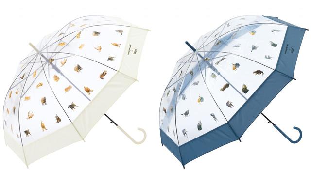 アンブレにゃん：各2,640円（税込）