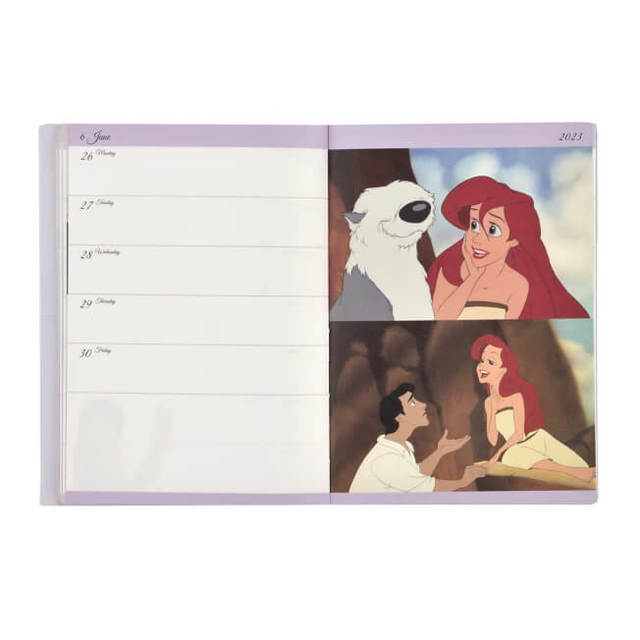 リトル・マーメイド 手帳・スケジュール帳 2023 B6 メタリック CALENDARS ＆ ORGANIZERS 1,980