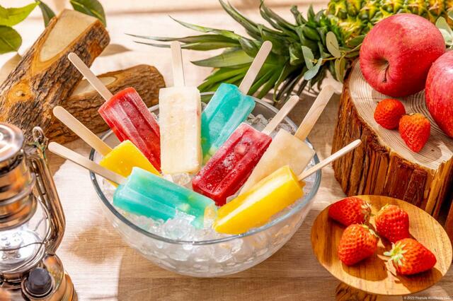 アイスキャンディー【Snoopy’s Summer Camp】