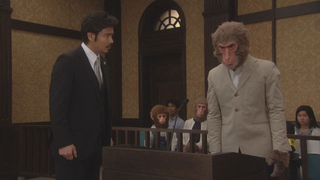 「さるかに合戦」裁判で被告人の猿に質問する弁護人（小澤征悦）