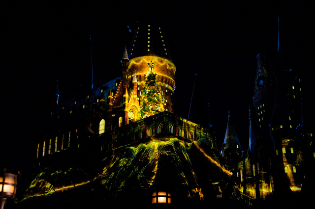 ホグワーツ・マジカル・ナイト 〜ウインター・マジック〜｜ウィザーディング・ワールド・オブ・ハリー・ポッター｜ユニバーサル・スタジオ・ジャパン