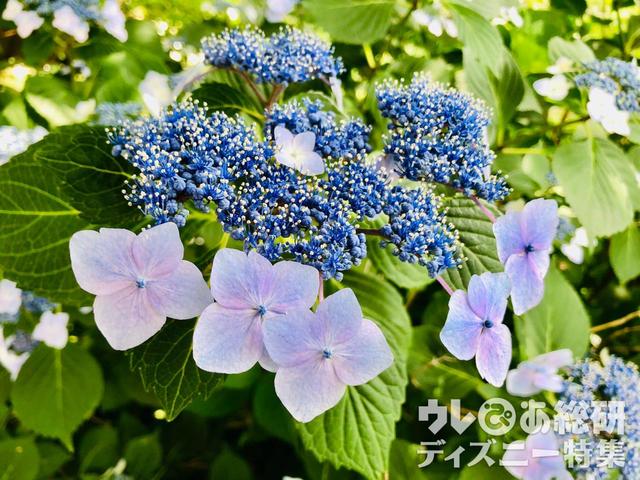 雨の日イメージ