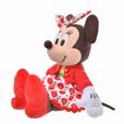ぬいぐるみ＜ミニーマウスミニーマウス＞ 2,750円