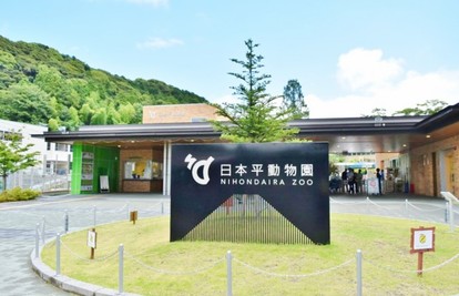 レッサーパンダの聖地 すしミュージアムも 静岡市のおススメ観光スポット６選 1 3 ハピママ