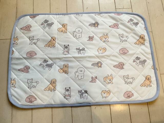 サイズは横約60cm×縦約40cmで小型犬にピッタリ