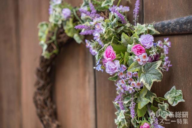 パペリーノ通り