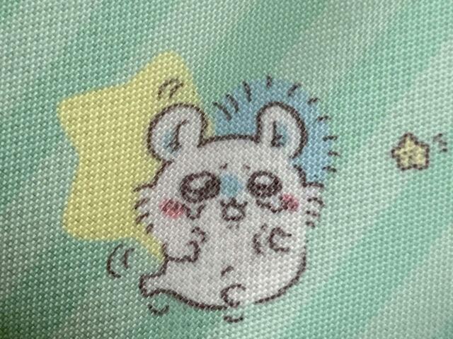 【キラピチ2023年8月号付録】かわいこぶって泣いているモモンガ。あざとくてもついつい許してしまうかわいさ