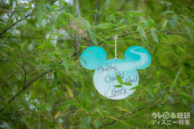 グーフィーのウィッシングカード