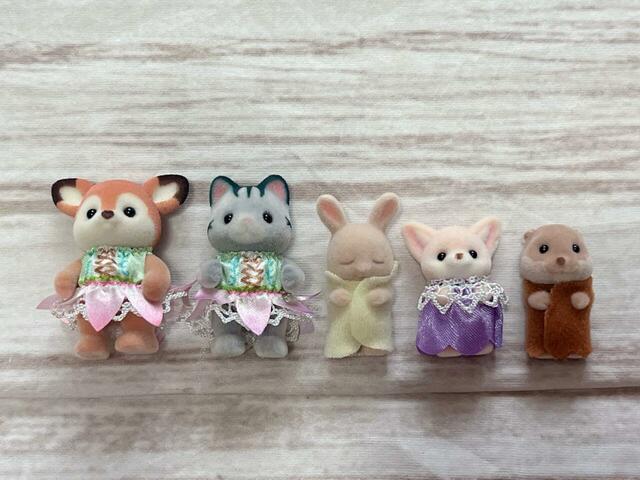 今回出会えた赤ちゃんたちを並べてみました。サイズ感が結構違いますね!