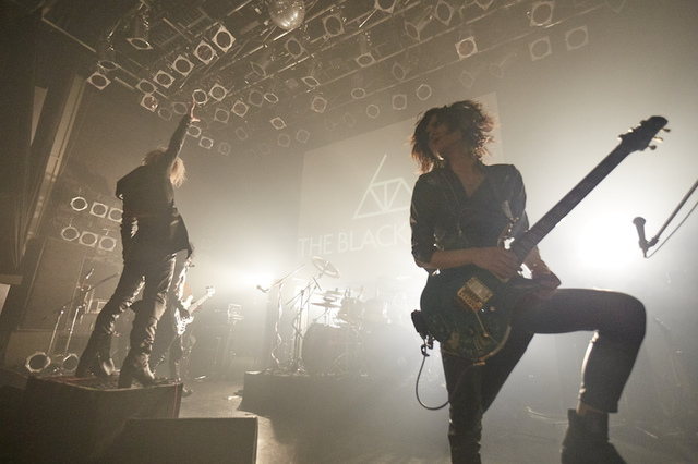 THE BLACK SWAN　樹