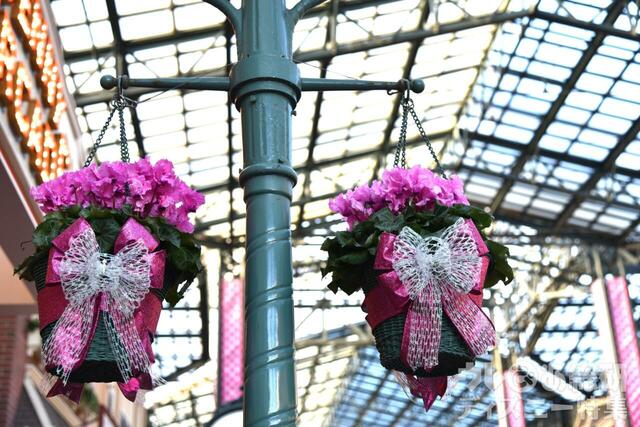 東京ディズニーランド「ディズニー・パルパルーザ“ミニーのファンダーランド”」