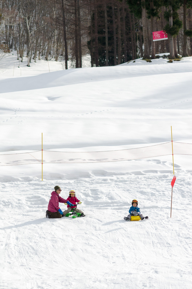 キッズパーク｜タングラム斑尾「タングラムスキーサーカス」