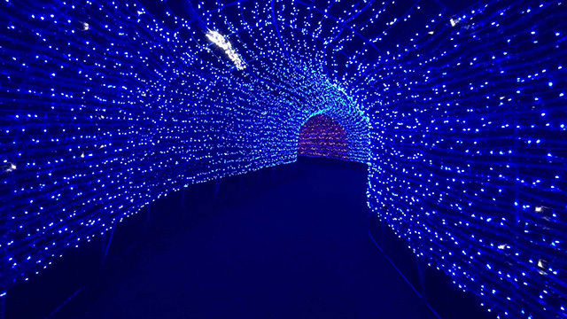 「アパリゾート上越妙高イルミネーション2015」