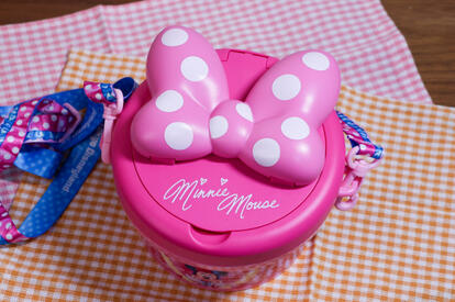 東京ディズニーランド】たまらなく可愛い～！「激かわランチケース」は