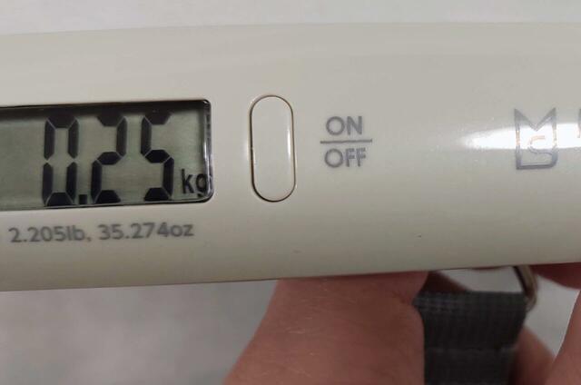 重さは0.25kgでした