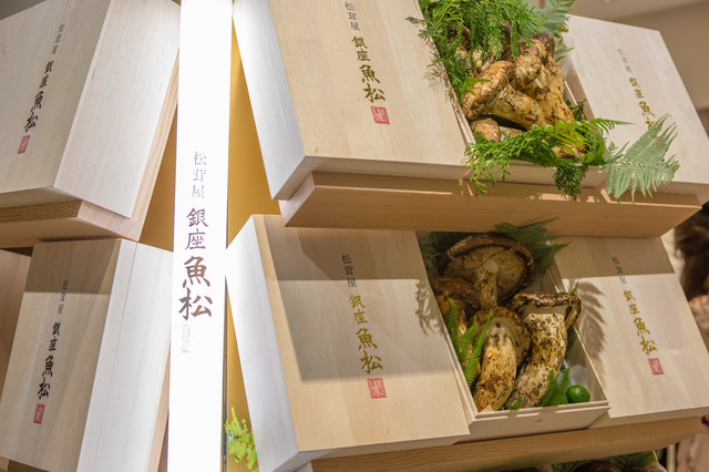 松茸屋 銀座 魚松