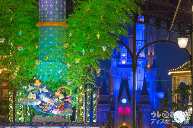 300-400mmなど望遠で後ろから夜とるとGood