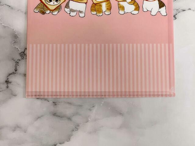 【Seria（セリア）】ファイル下部はストライプになっていておしゃれ！