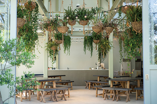 【兵庫・北野｜MINORI HILL｜GROUNDS】