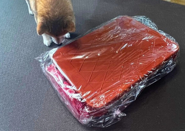 【ペット用こたつ】組み立てテーブルとこたつ用布団、ACアダプターの三点セット