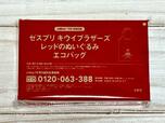 付録は「ゼスプリ キウイブラザーズ チャームにもなる！レッドのぬいぐるみエコバッグ」