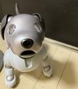 笑顔のaibo