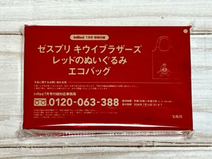 キウイブラザーズのぬいぐるみエコバッグが今年も登場！安心して使える
