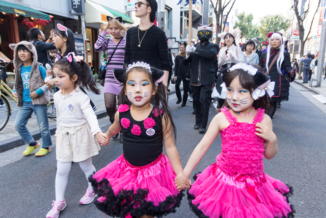 かわいい猫、イケメン猫…超凝った“猫コスプレ”