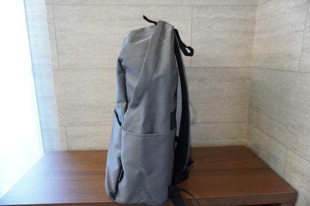 横から見たところ