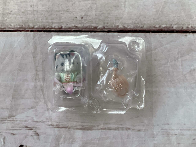 7.グレイッシュネコの赤ちゃん(リバティ)が来てくれました!