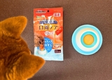 【わんこのぺろぺろ味覚玉】見慣れぬアイテムに興味津々