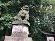 【阿佐ヶ谷神明宮】西大鳥居の脇に鎮座する狛犬