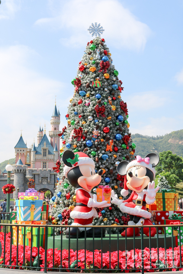 「眠れる森の美女の城」の前にあるフォトスポット