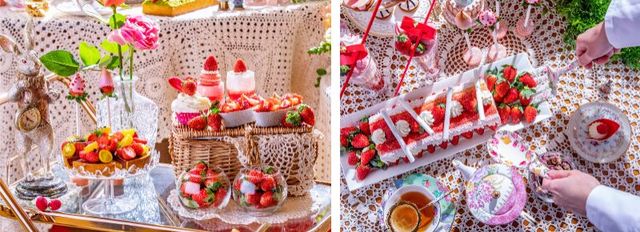 『RSVP.アリスからの招待状』