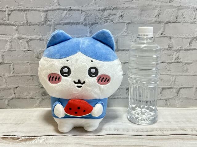 【エニマイくじ ちいかわ~ちいかわと夏の思い出~】「3.ぬいぐるみ(ハチワレ)」サイズは、約全長20.5cm。550mLペットボトルより少し小さいくらい